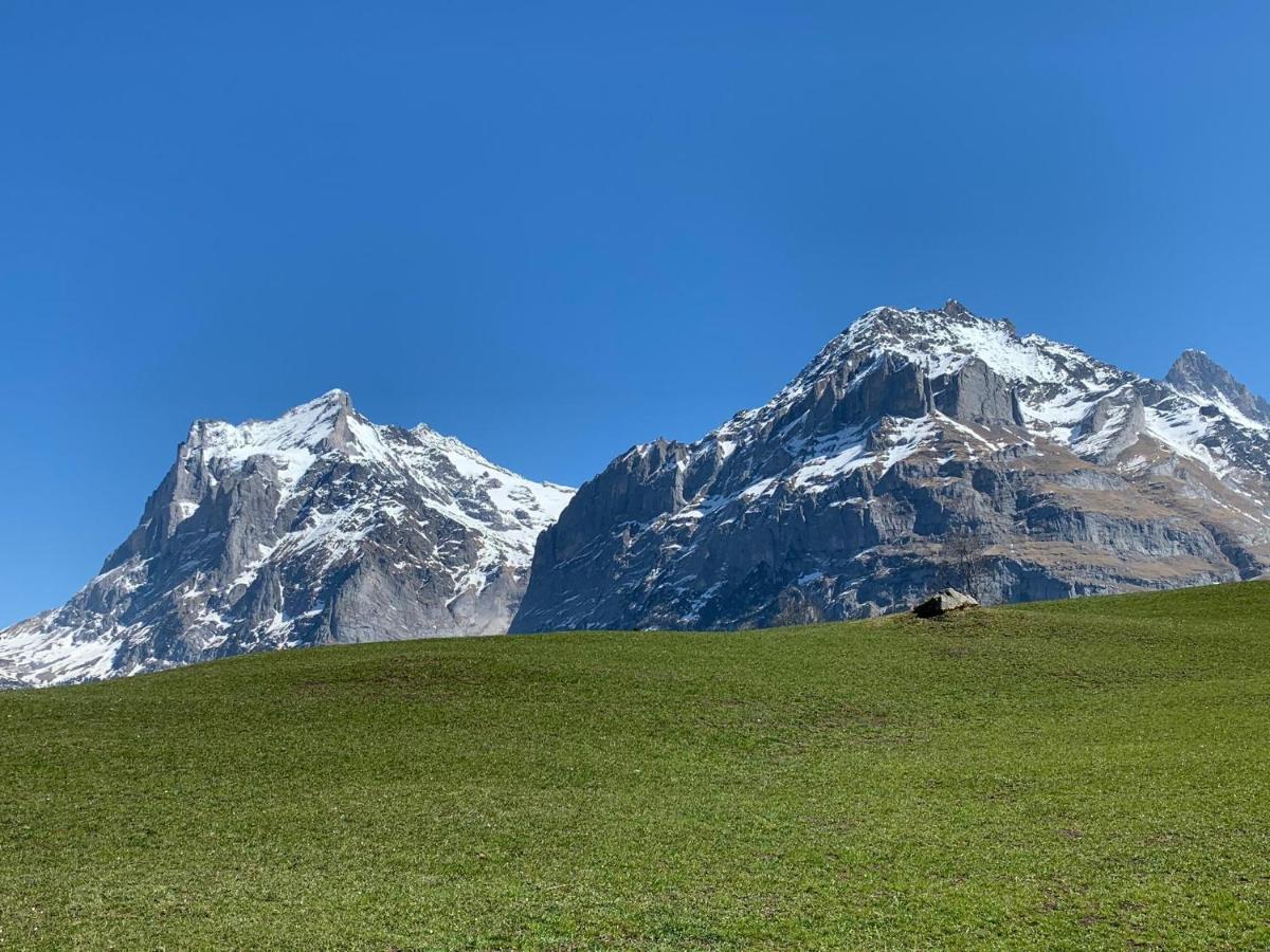 Fluehblueemli Lejlighed Grindelwald Eksteriør billede