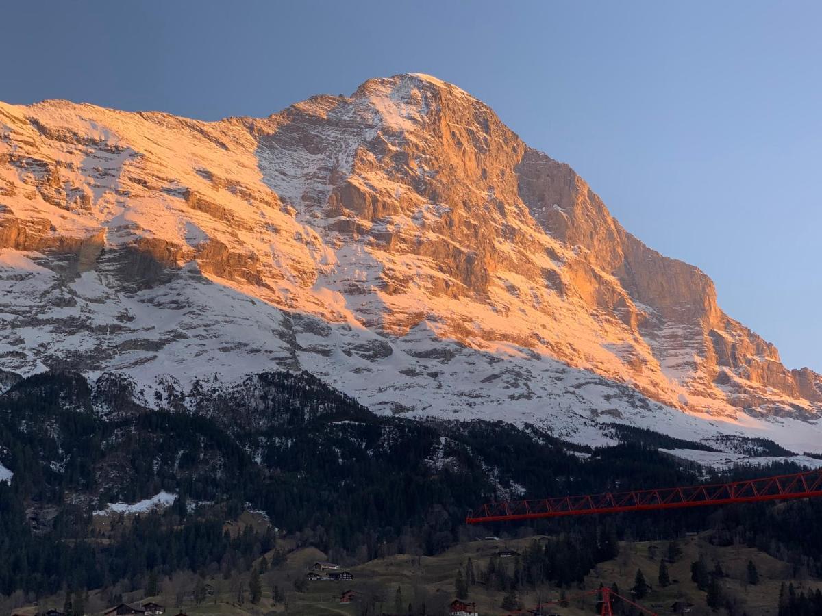 Fluehblueemli Lejlighed Grindelwald Eksteriør billede