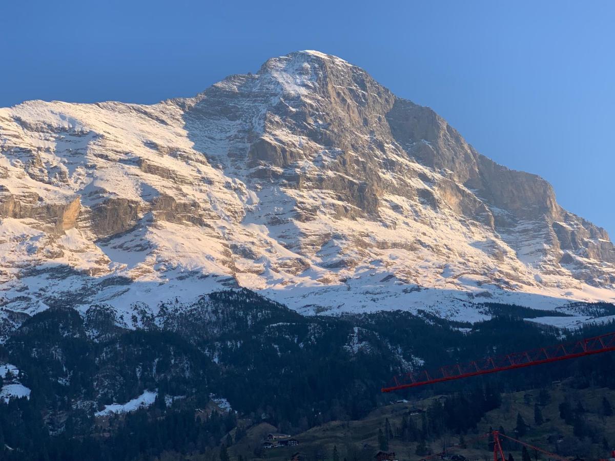 Fluehblueemli Lejlighed Grindelwald Eksteriør billede