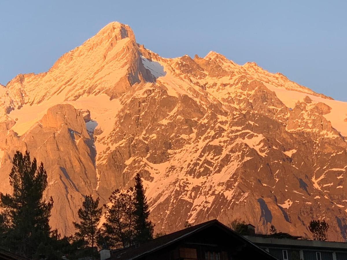 Fluehblueemli Lejlighed Grindelwald Eksteriør billede