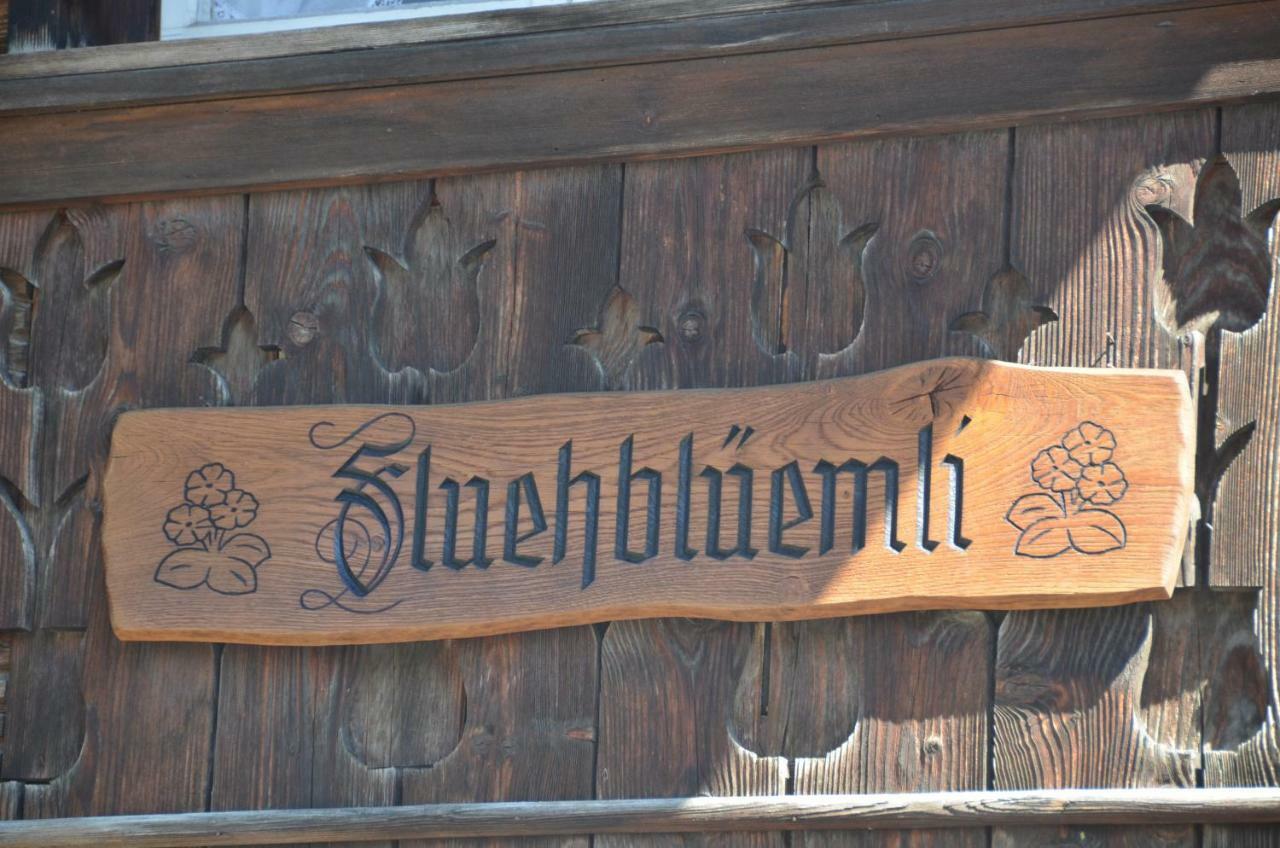 Fluehblueemli Lejlighed Grindelwald Eksteriør billede