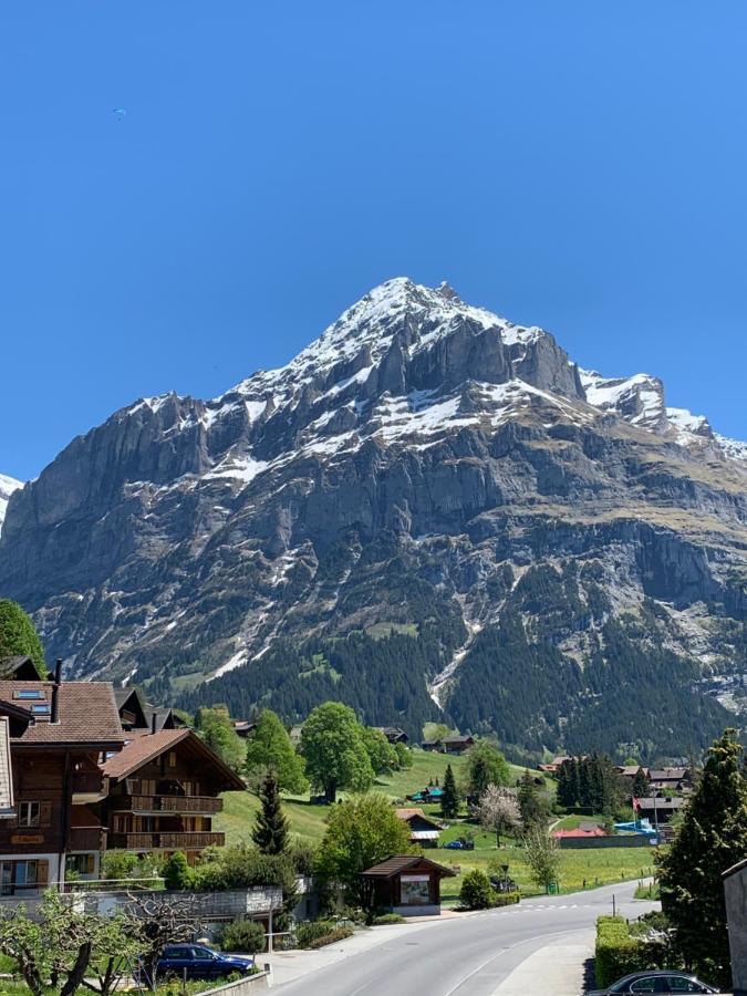 Fluehblueemli Lejlighed Grindelwald Eksteriør billede