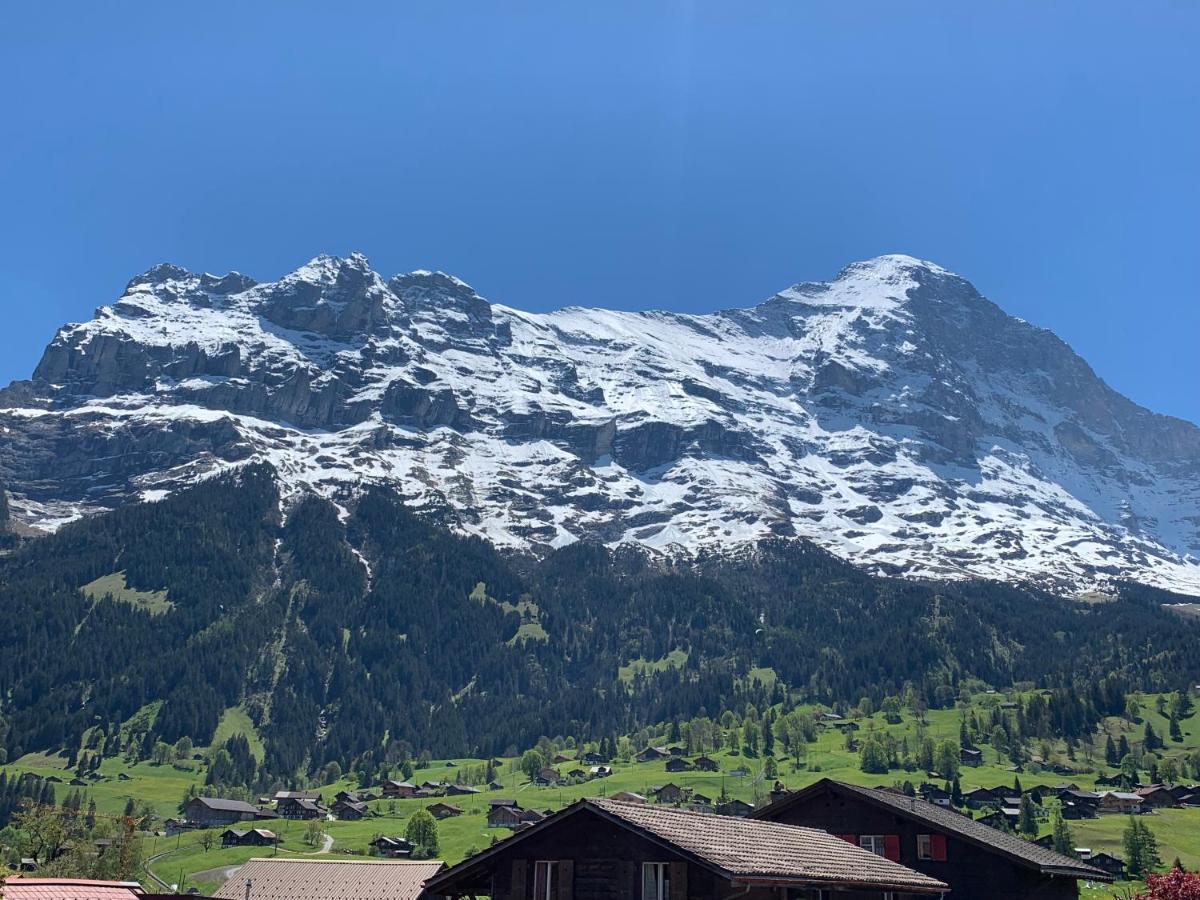 Fluehblueemli Lejlighed Grindelwald Eksteriør billede