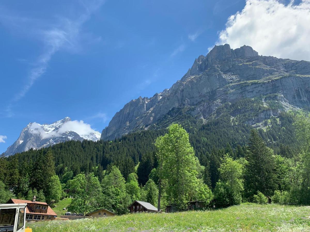 Fluehblueemli Lejlighed Grindelwald Eksteriør billede